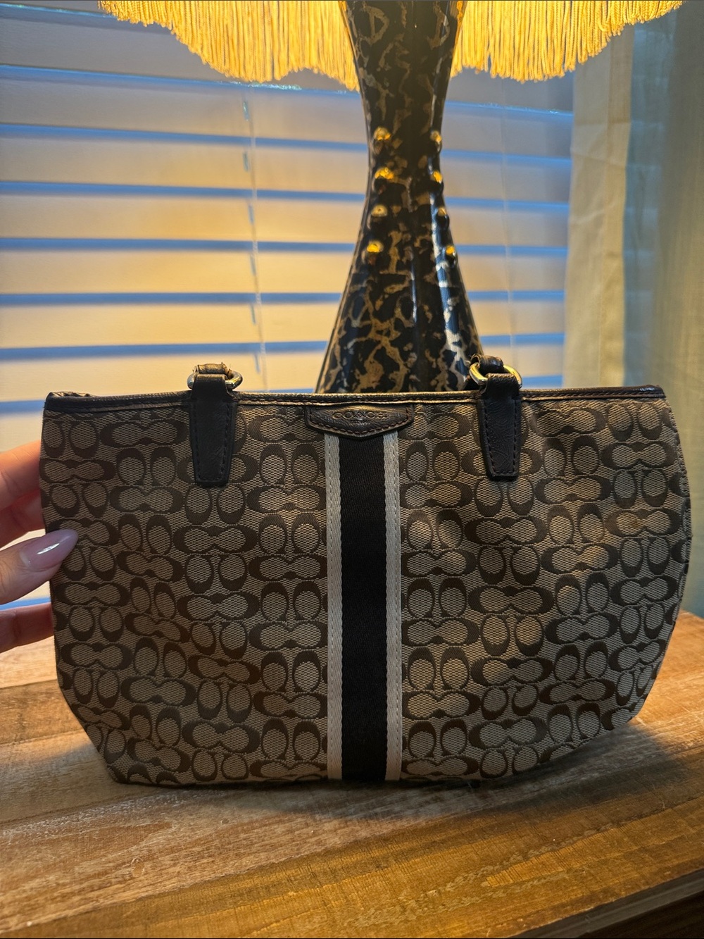 Vintage Coach Mini Bag